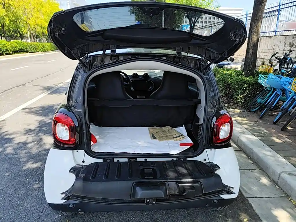 smart Smart Fortwo — миниатюра 19
