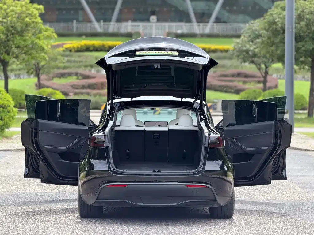 Tesla Model Y — миниатюра 8