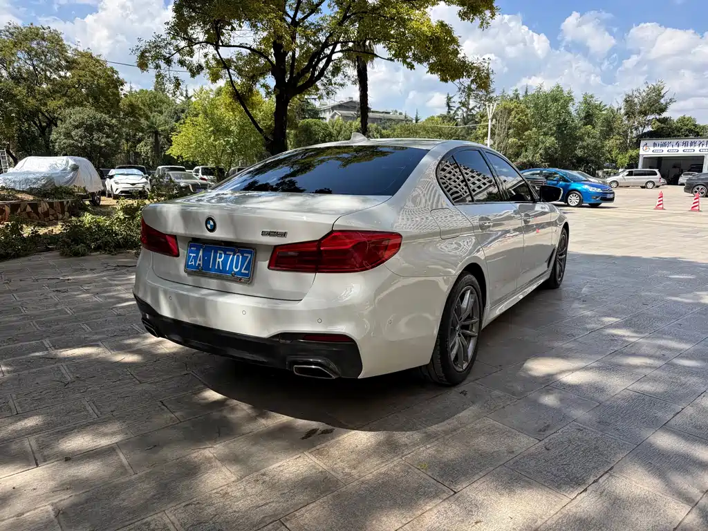 BMW 5 Series (Import) — миниатюра 16