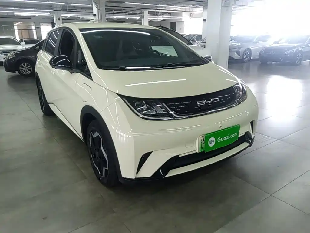 BYD Dolphin — миниатюра 4