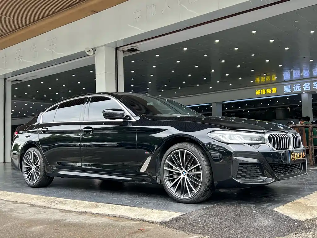 BMW 5 Series — миниатюра 3