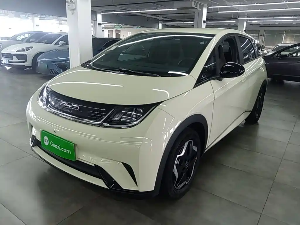 BYD Dolphin — миниатюра 2