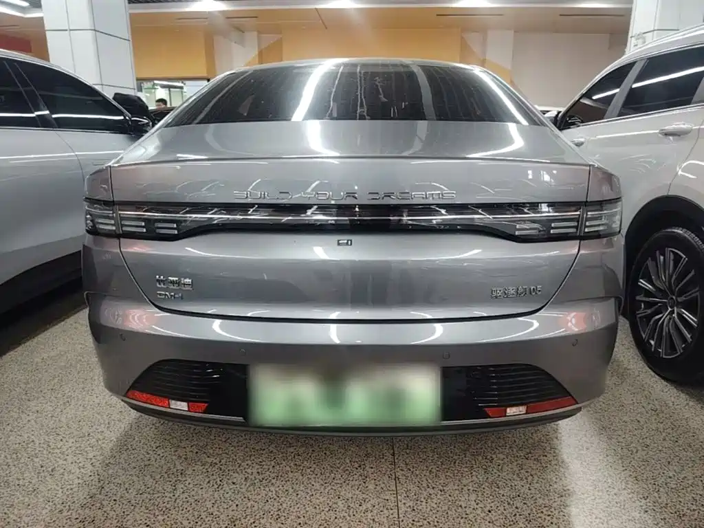 BYD Destroyer 05 2023 Champion DM-i 55KM Luxury