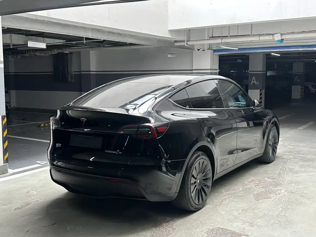 Tesla Model Y — миниатюра 9