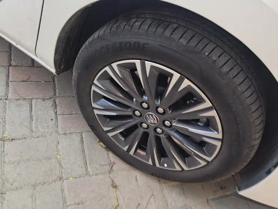 Buick GL8 — миниатюра 6