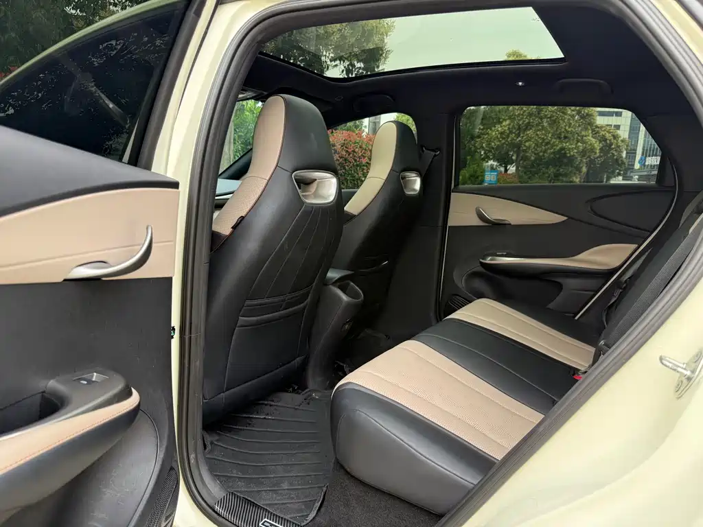 BYD Dolphin 2025 420km Fashion