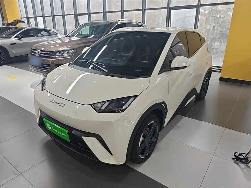 Byd Seagull 2024