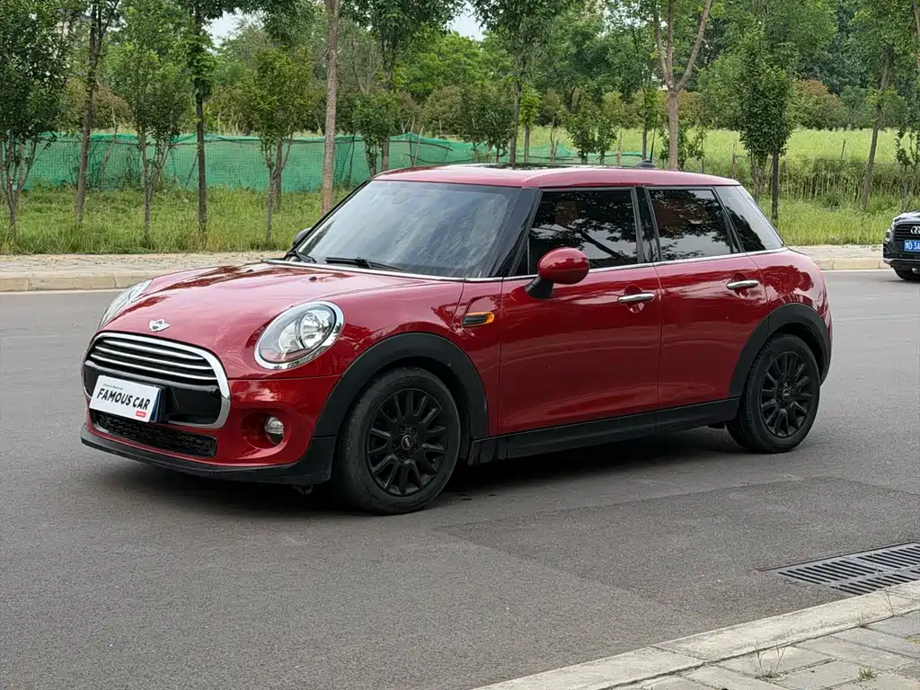 Mini Mini 2018