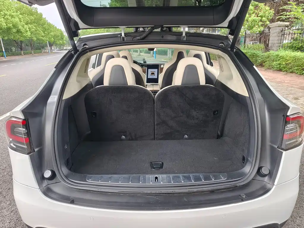 Tesla Model X — миниатюра 8