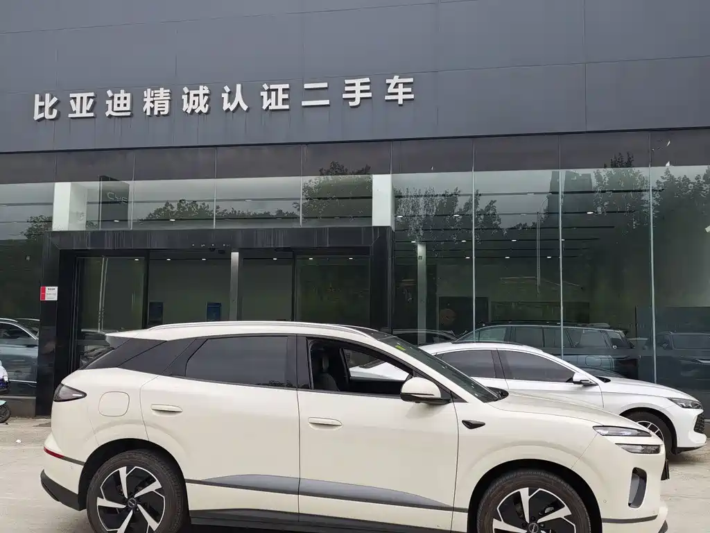 BYD Sealion 06 — миниатюра 3