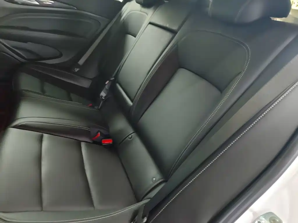 Buick Regal — миниатюра 17