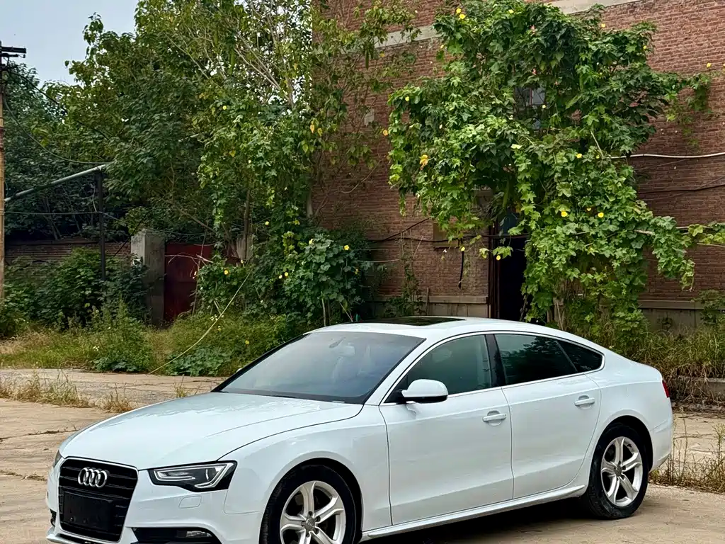 Audi A5 (Import) — миниатюра 9