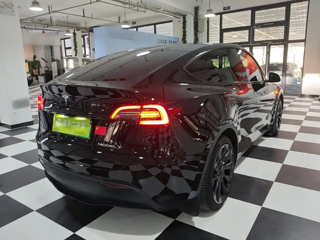 Tesla Model Y — миниатюра 7
