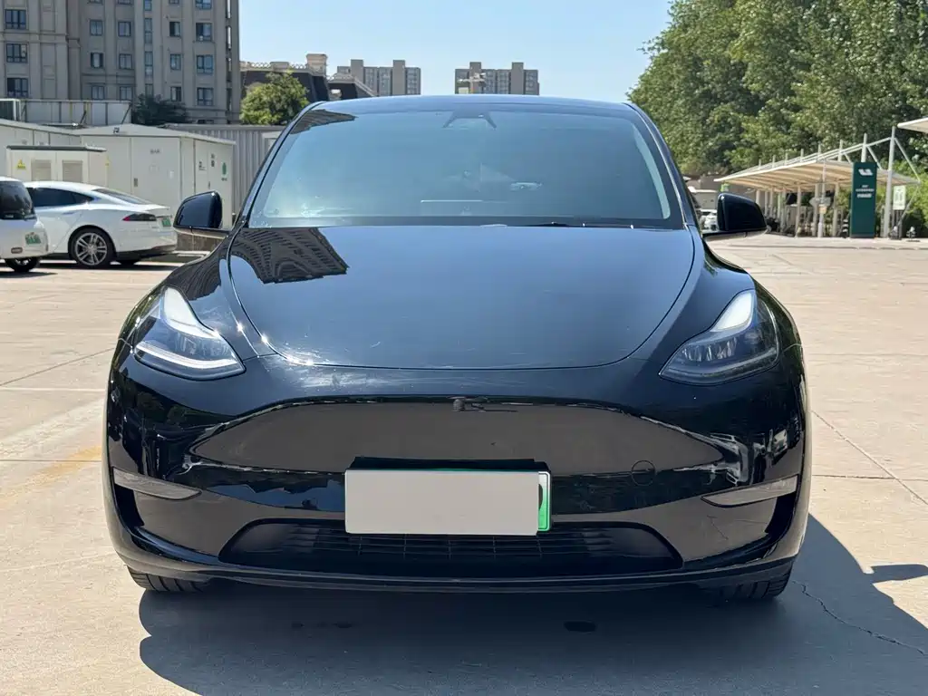 Tesla Model Y — миниатюра 2