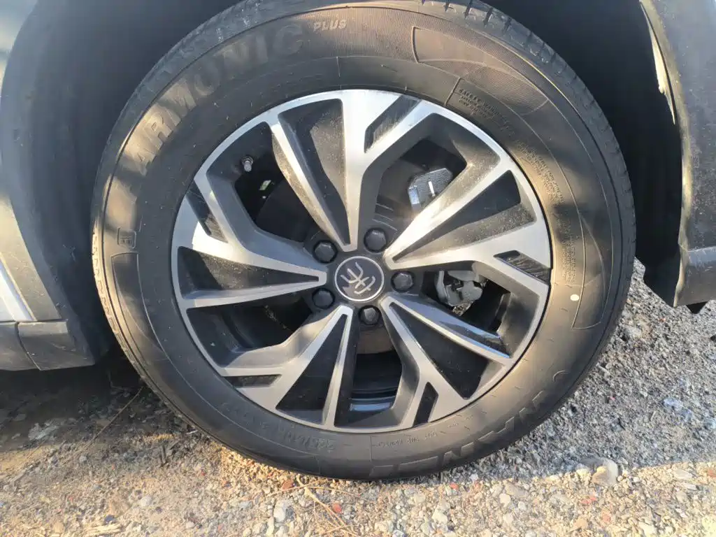 BYD Pro New Energy — миниатюра 8