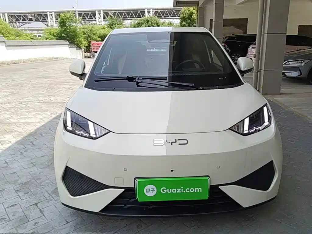 BYD Seagull 2025 Smart Drive 305km Freedom