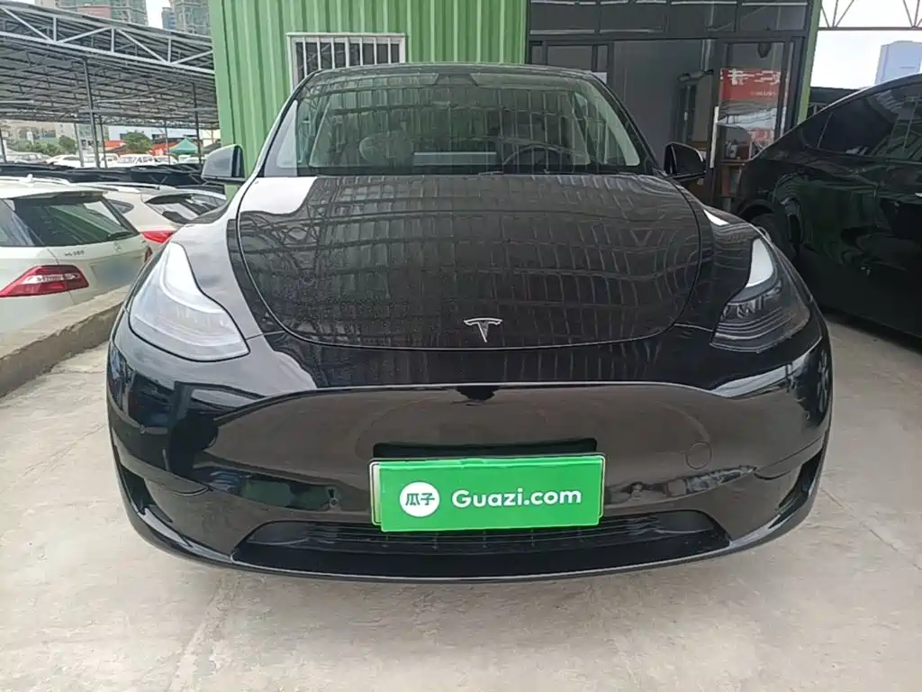 Tesla Model Y — миниатюра 3