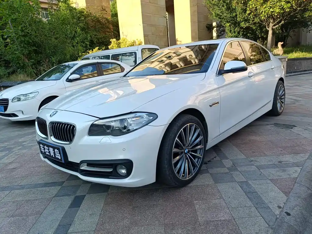 BMW 5 Series 2014 520Li Classic Type