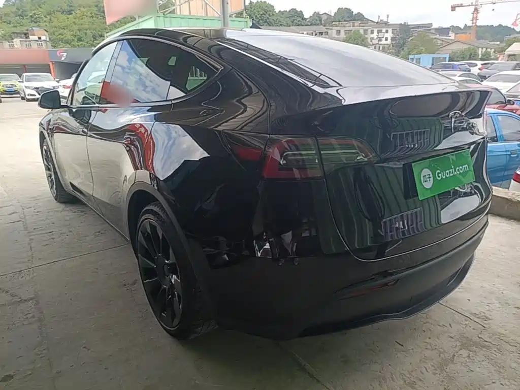 Tesla Model Y — миниатюра 5
