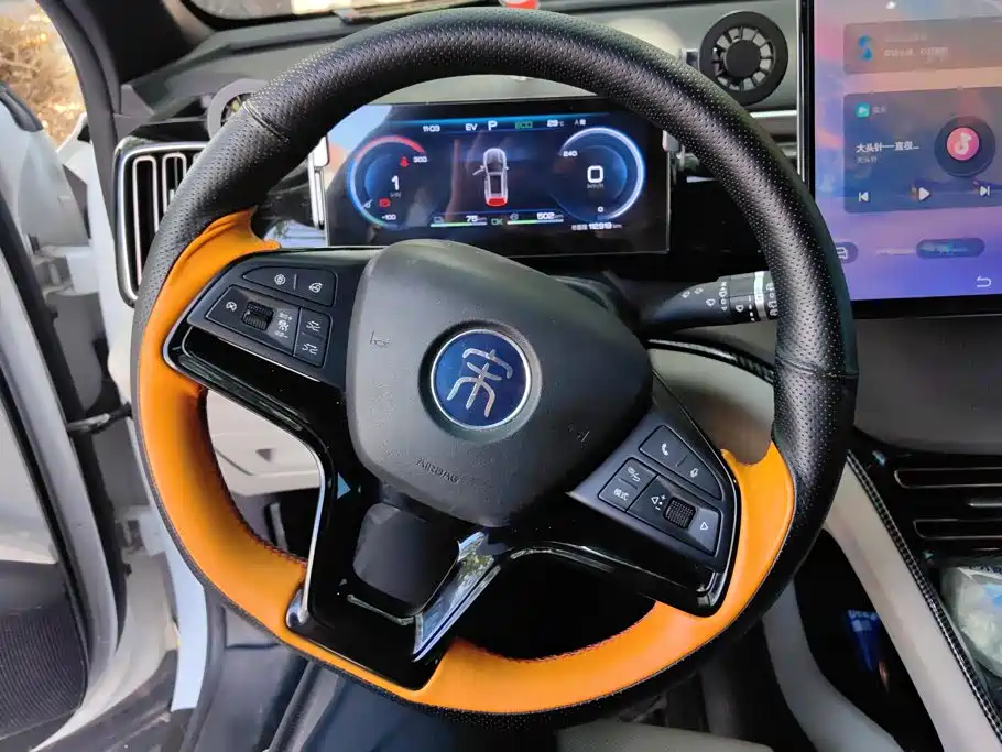 BYD Pro New Energy — миниатюра 12