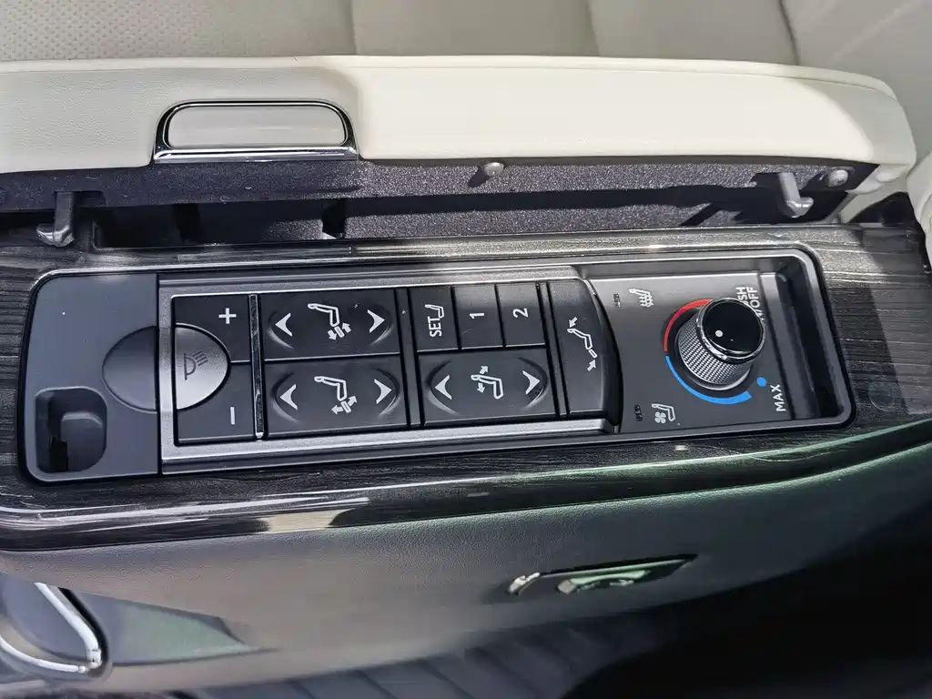 Lexus LM 2020 300h мест