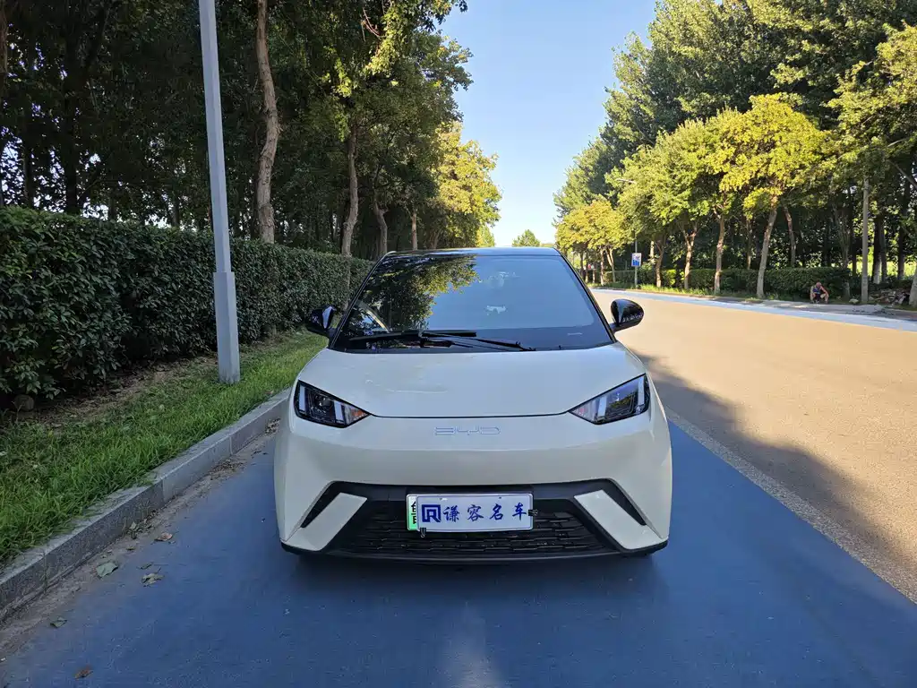 BYD Seagull — миниатюра 2