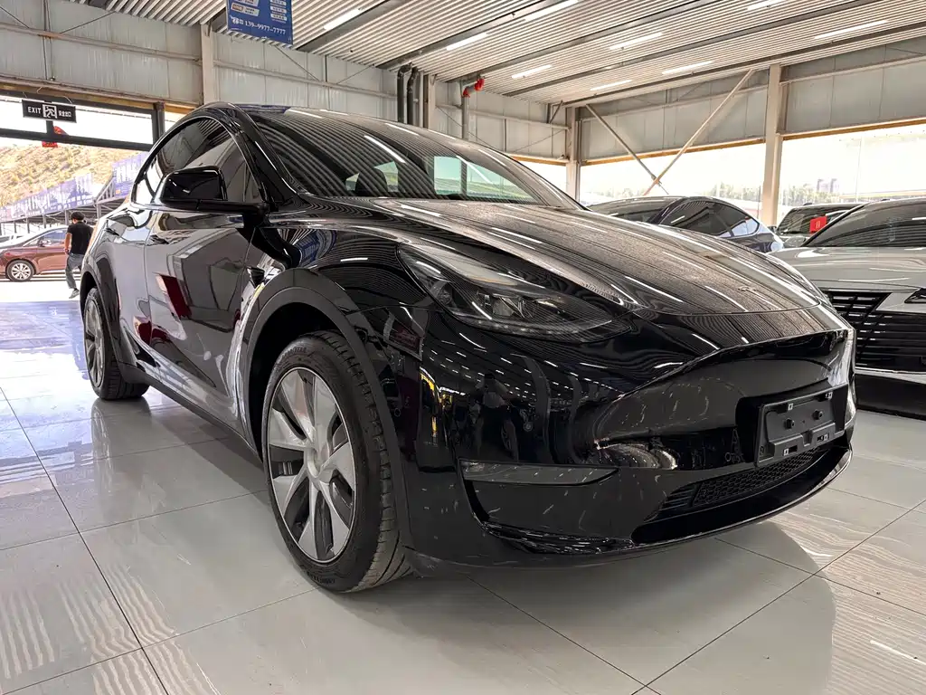Tesla Model Y — миниатюра 3