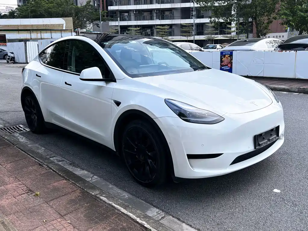Tesla Model Y — миниатюра 3