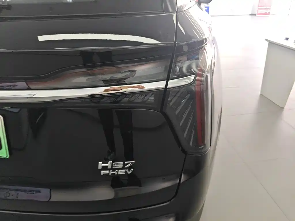 Hongqi Hongqi HS7 PHEV — миниатюра 24