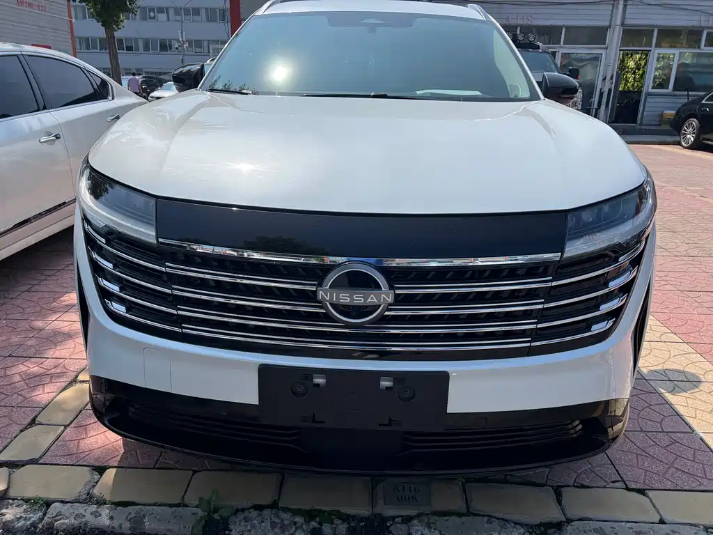Nissan Teramont — миниатюра 2