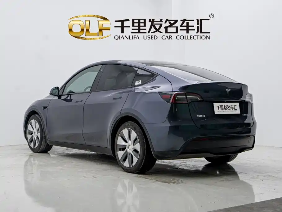 Tesla Model Y — миниатюра 4