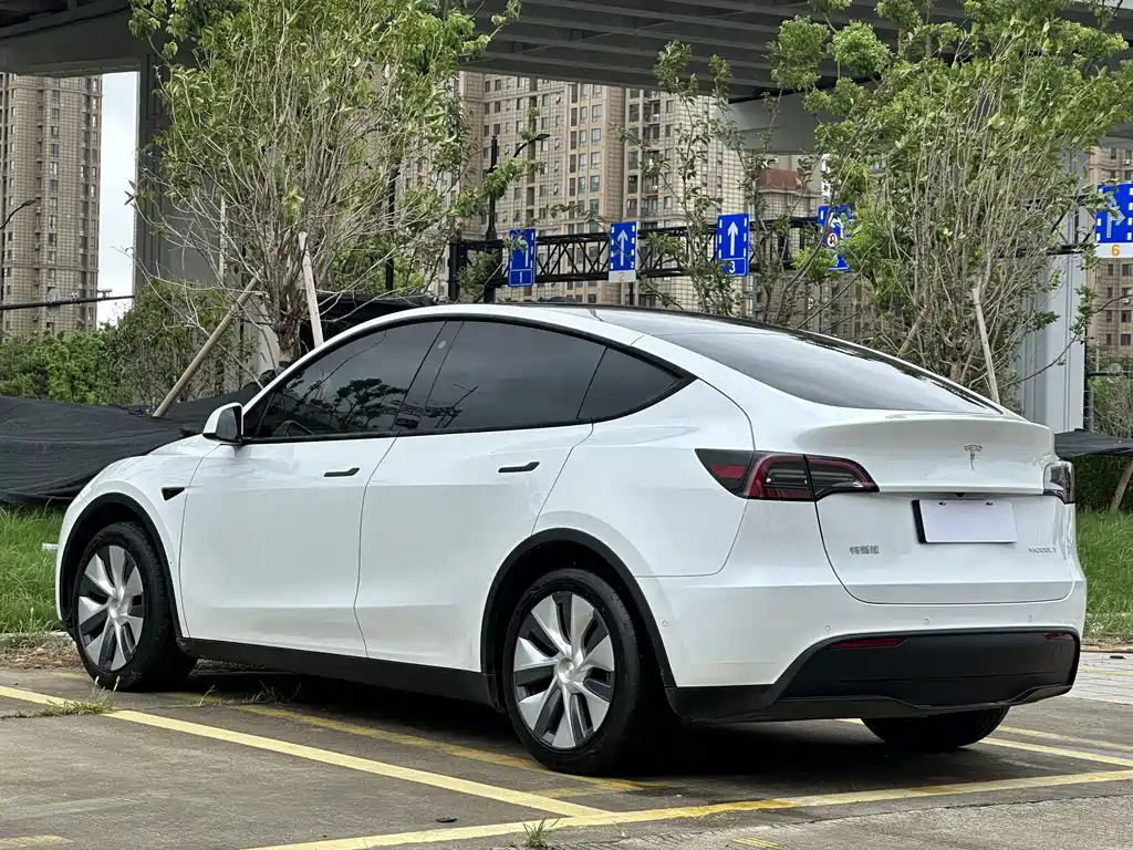 Tesla Model Y — миниатюра 16