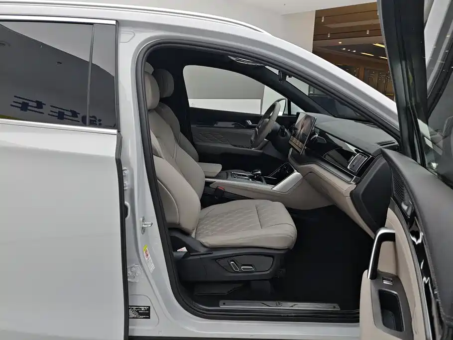 BYD Tang New Energy — миниатюра 8