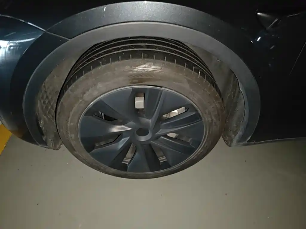 Tesla Model Y — миниатюра 23