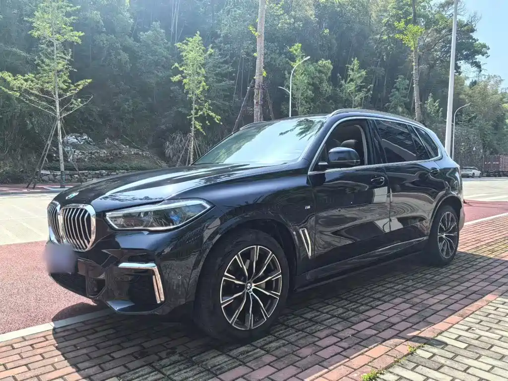 BMW X5 2022 xDrive 30Li Premium M Sport
