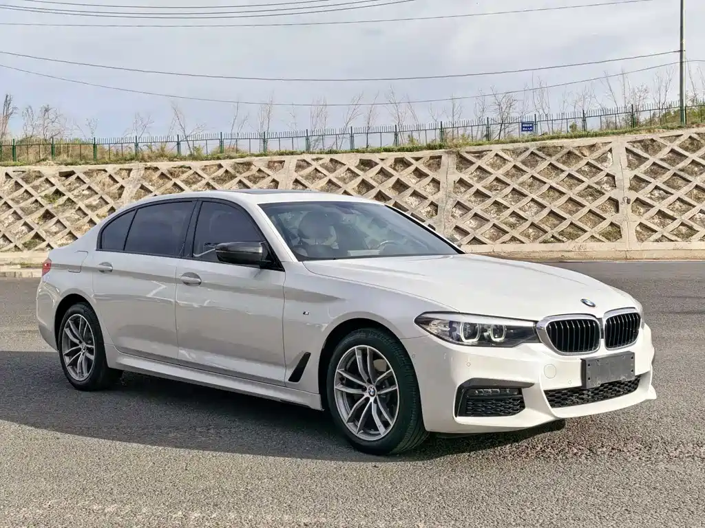 BMW 5 Series 5 2019 525Li M Sport