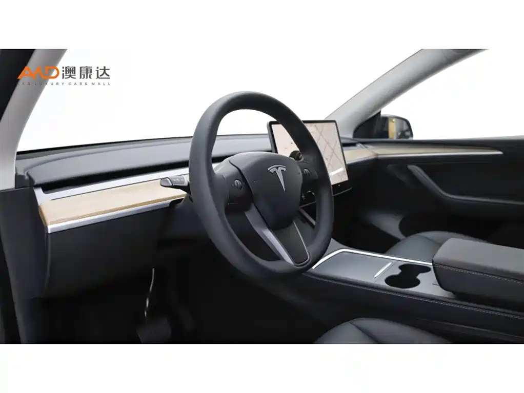 Tesla Model Y — миниатюра 6