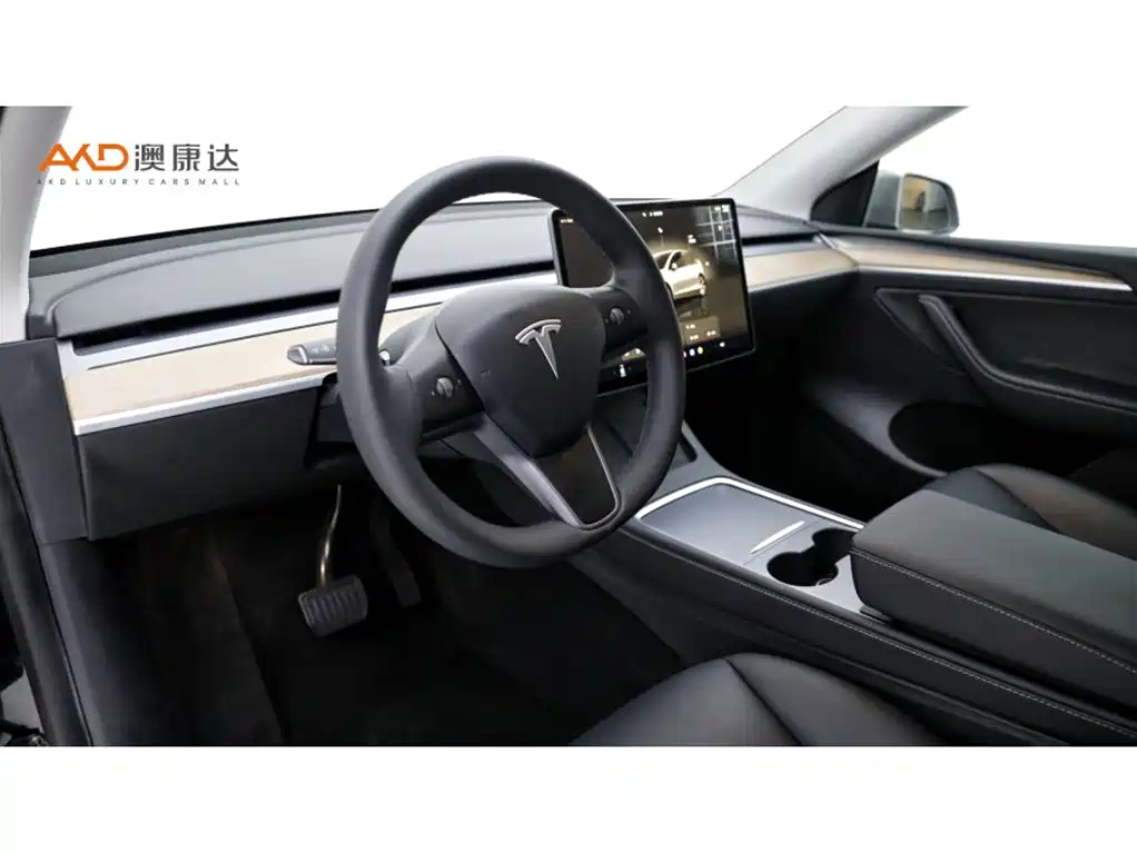 Tesla Model Y — миниатюра 6