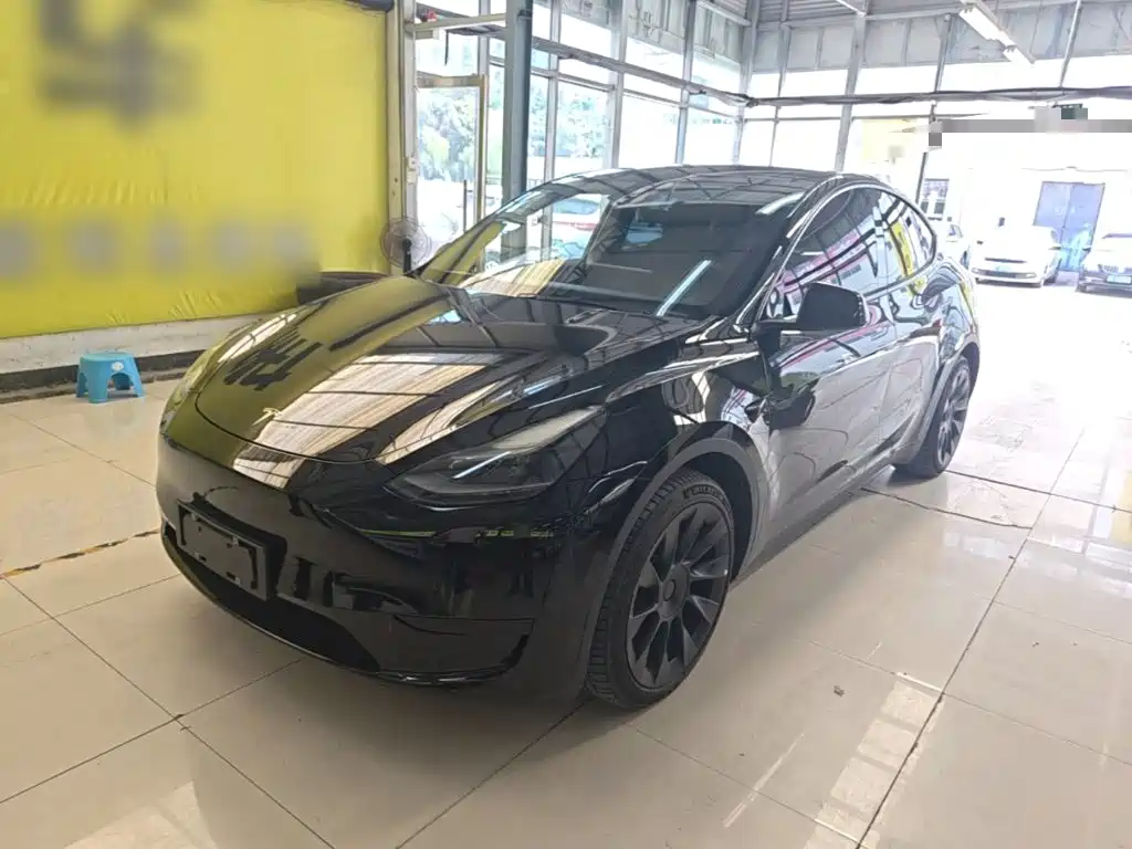 Tesla Model Y — миниатюра 2