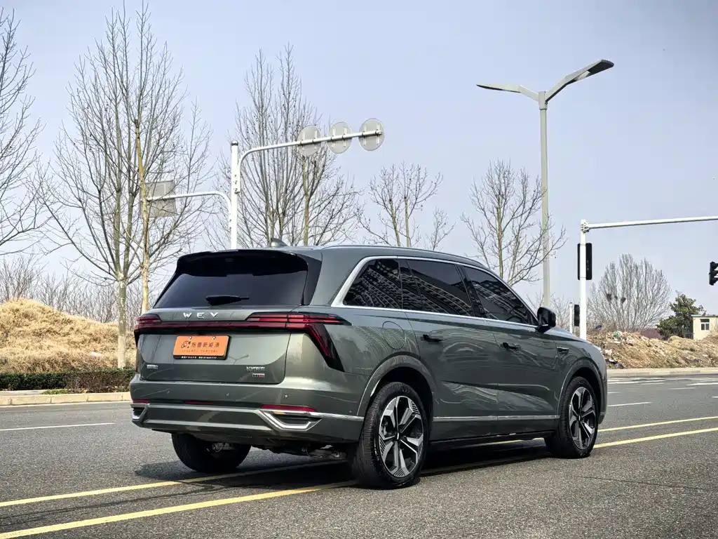 WEI PAI WEI BRAND BLUE MOUNTAIN