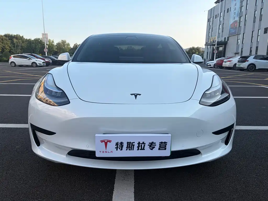 Tesla Model 3 — миниатюра 2