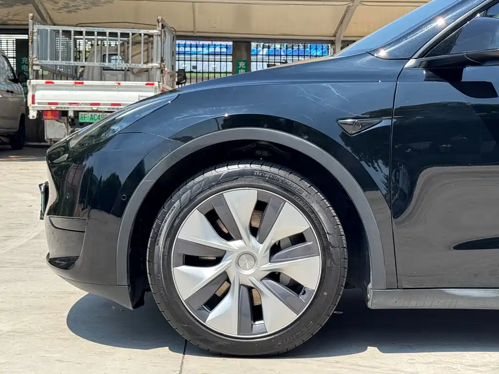 Tesla Model Y — миниатюра 3