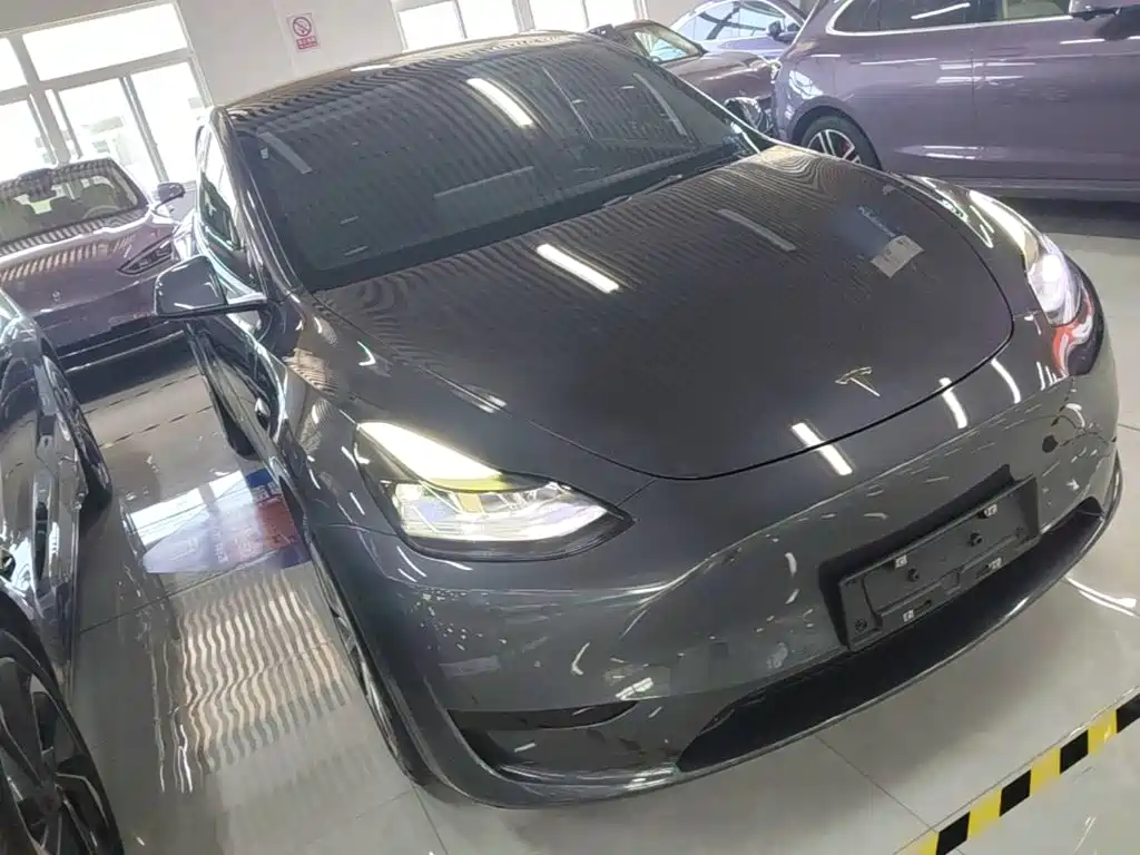 Tesla Model Y — миниатюра 4