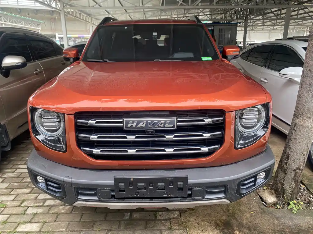 Купить Haval Big Dog