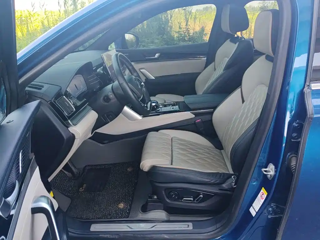 BYD Tang New Energy — миниатюра 15