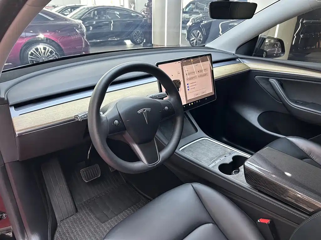 Tesla Model Y — миниатюра 10