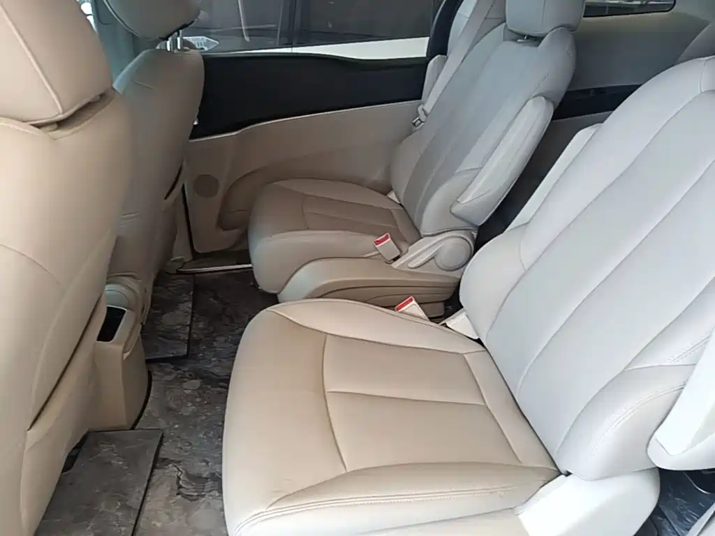 Buick GL8 — миниатюра 24