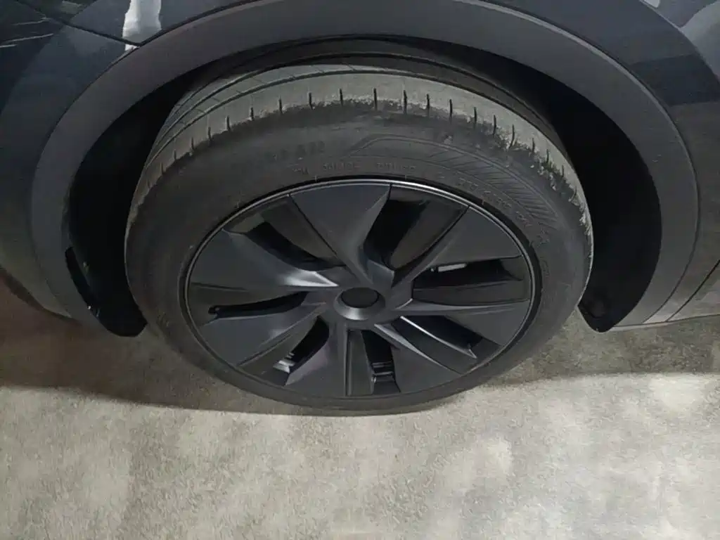 Tesla Model Y — миниатюра 23