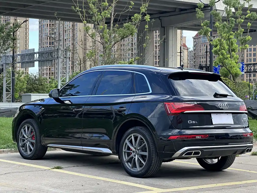 Audi Q5L — миниатюра 25
