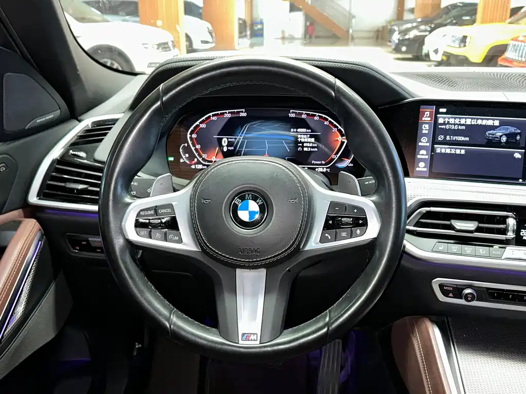 BMW X6 — миниатюра 12